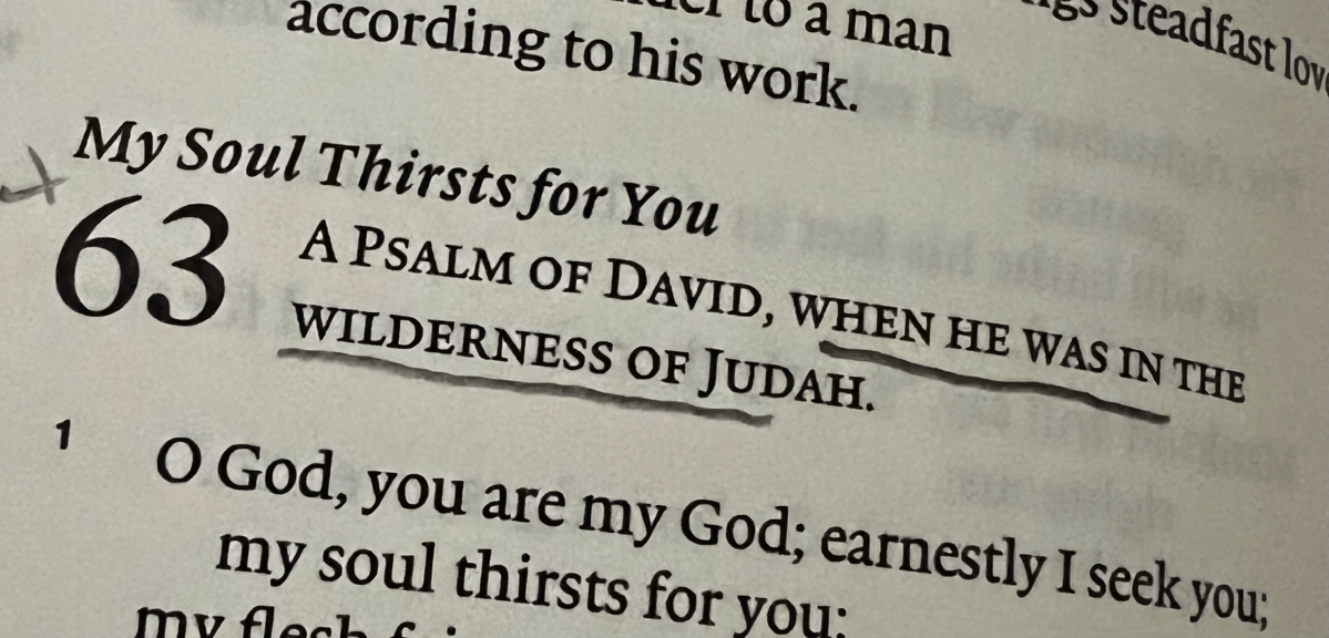 Day 108: Which Time in the Wilderness Was Psalm 63 Written About?