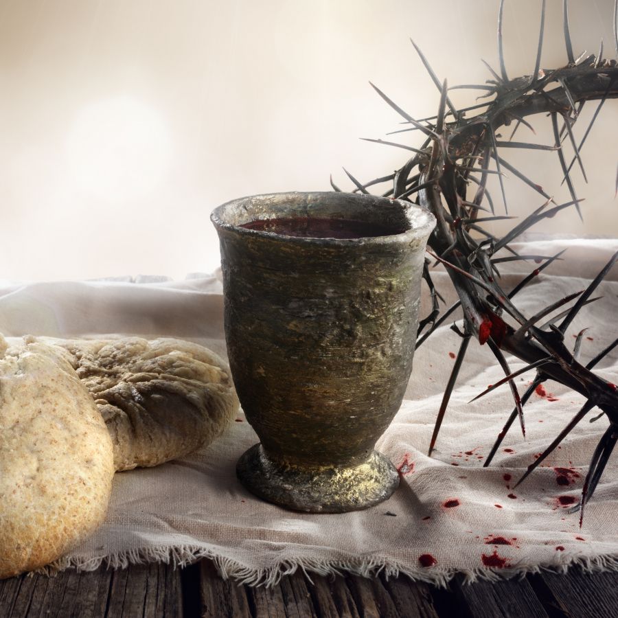 Day 305: You Will Drink From My Cup (Matthew 20:20-24)