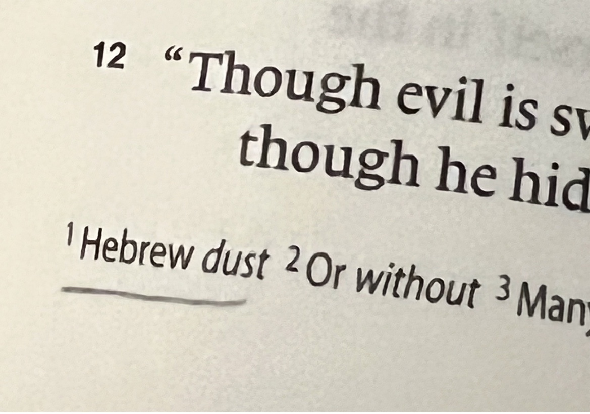 Day 008: Standing on the Dust (Job 19:25)