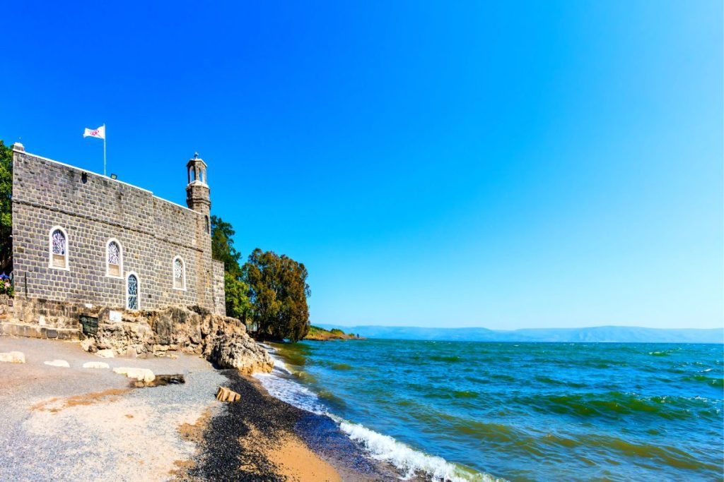 Day 291: Peter’s Other Confession of Faith (John 6:66-70)