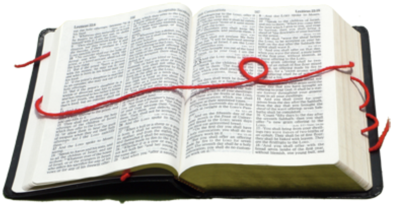 Day 025: The First Breach Baby (Genesis 38:27)