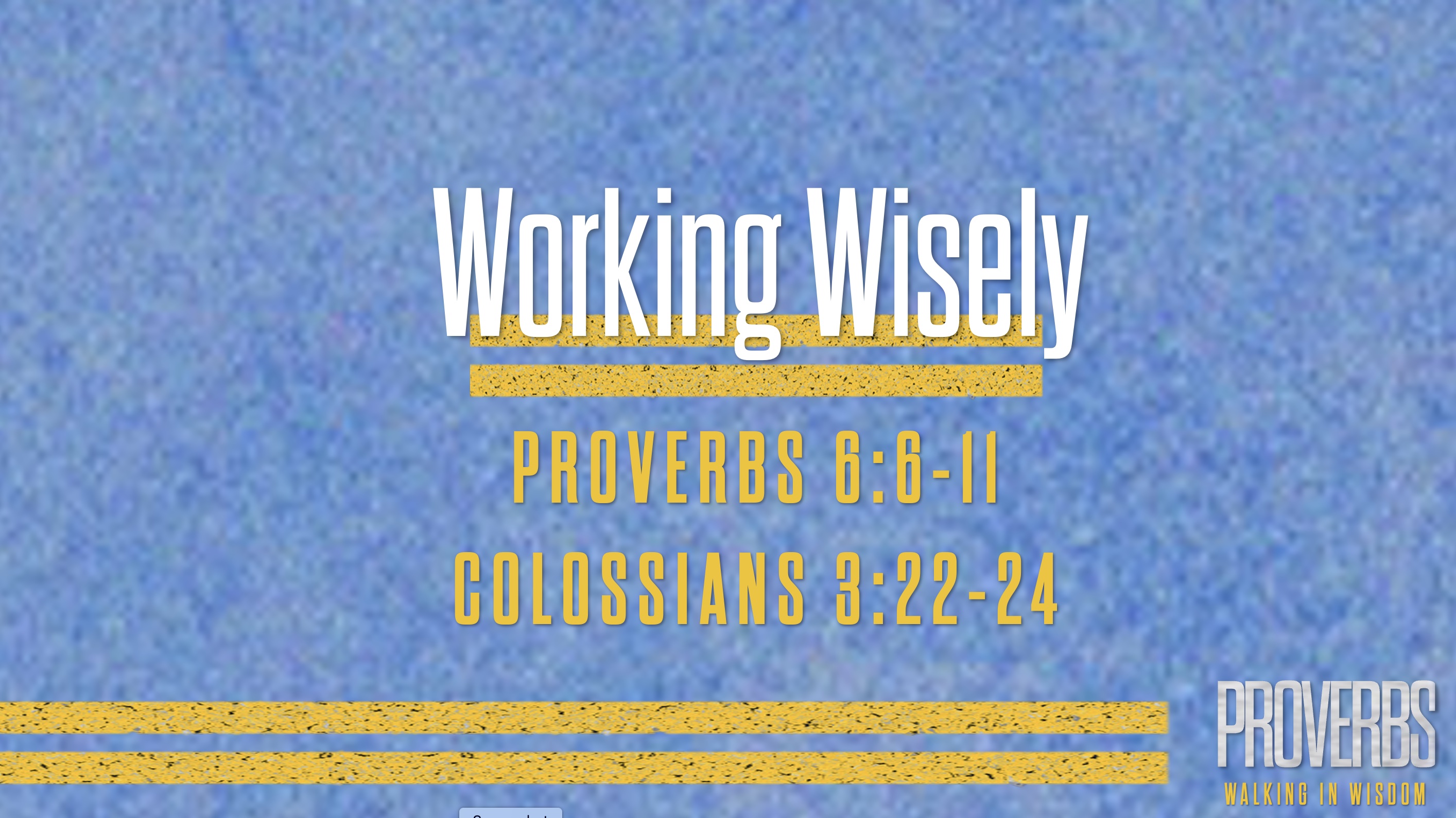 Working Wisely (Proverbs 6:6-11)