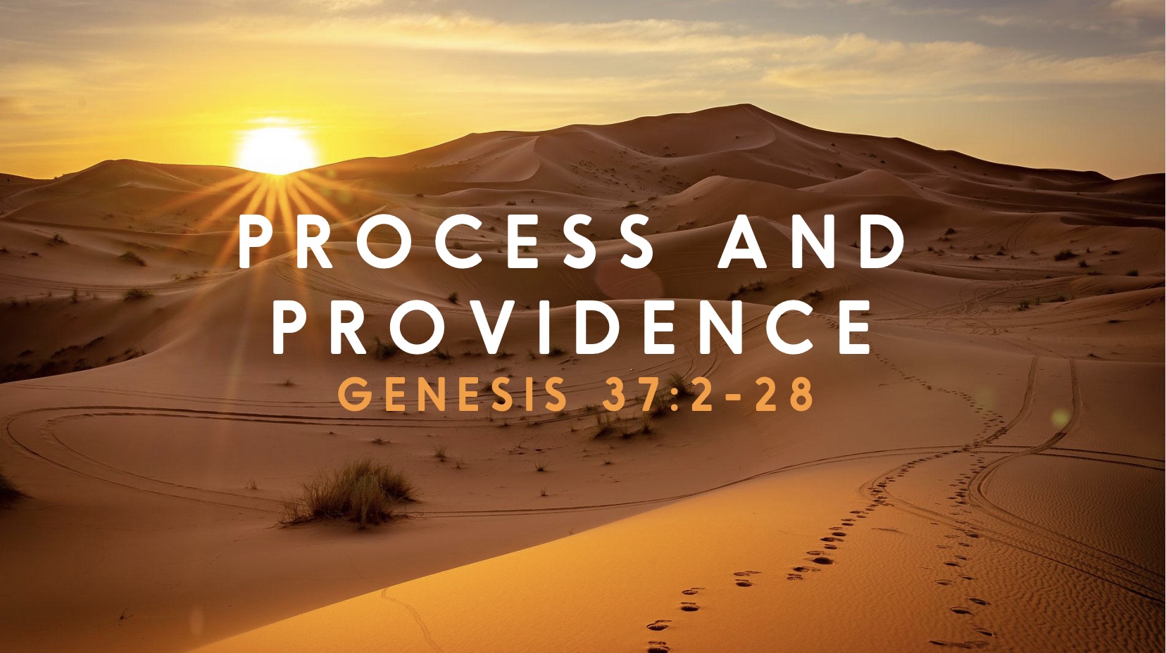 Process and Providence: Genesis 37