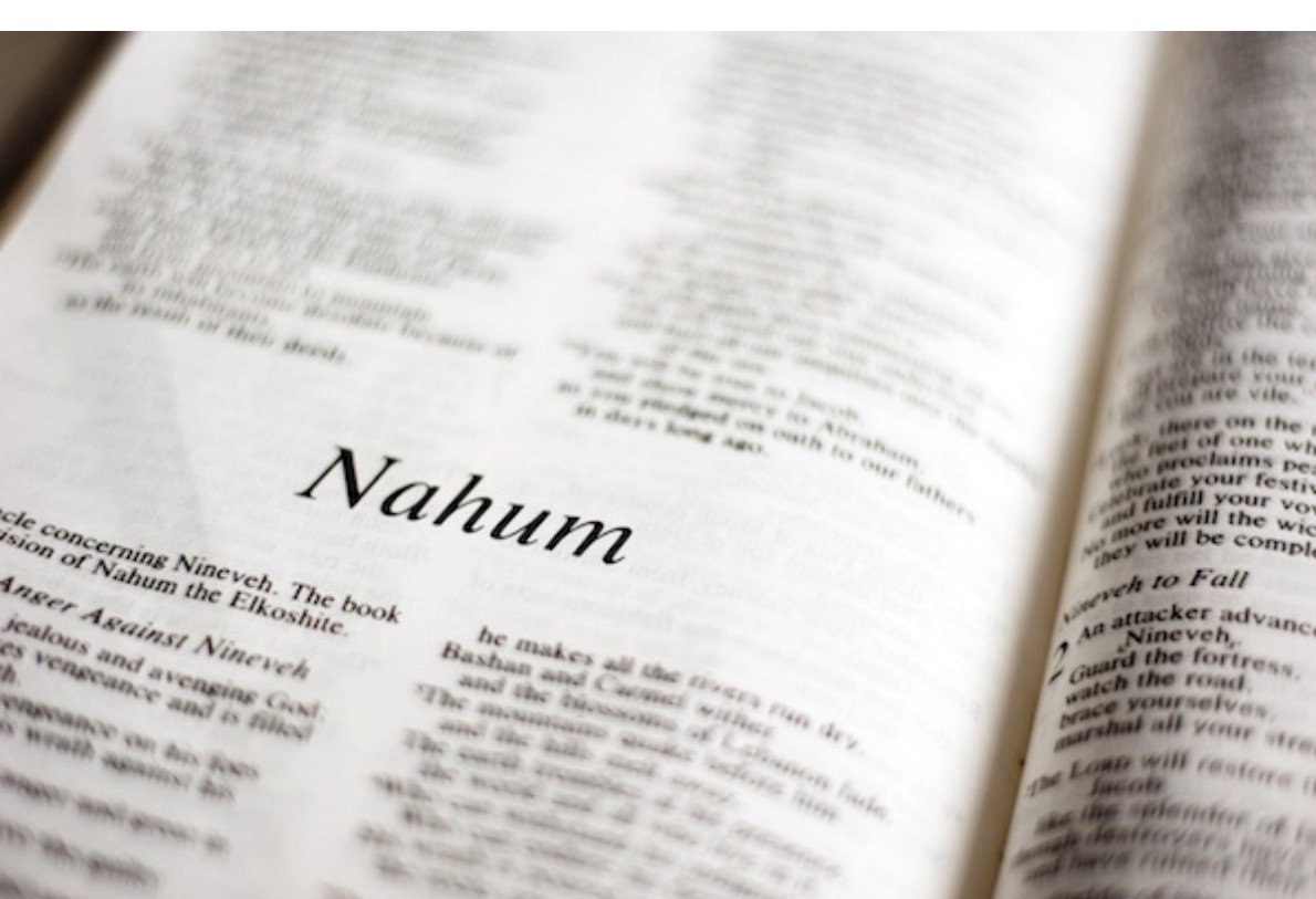 Day 216: Learning from the Nah Nahs (Jonah and Nahum)