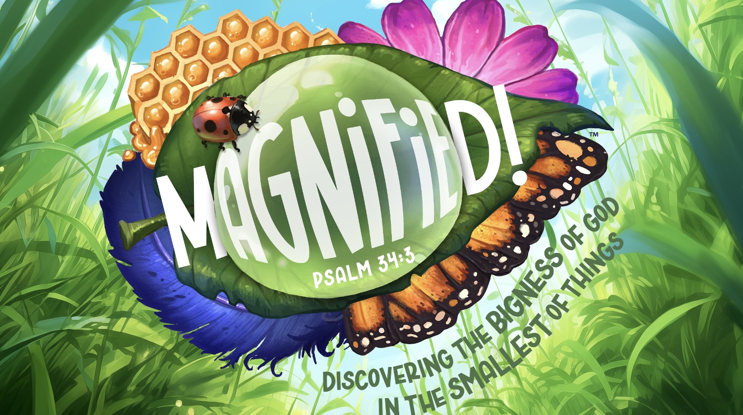 Magnified! (VBS 2025)