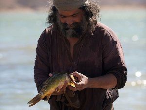 Day 294: Jesus’ Most Playful Miracle (Matthew 17:24-27)