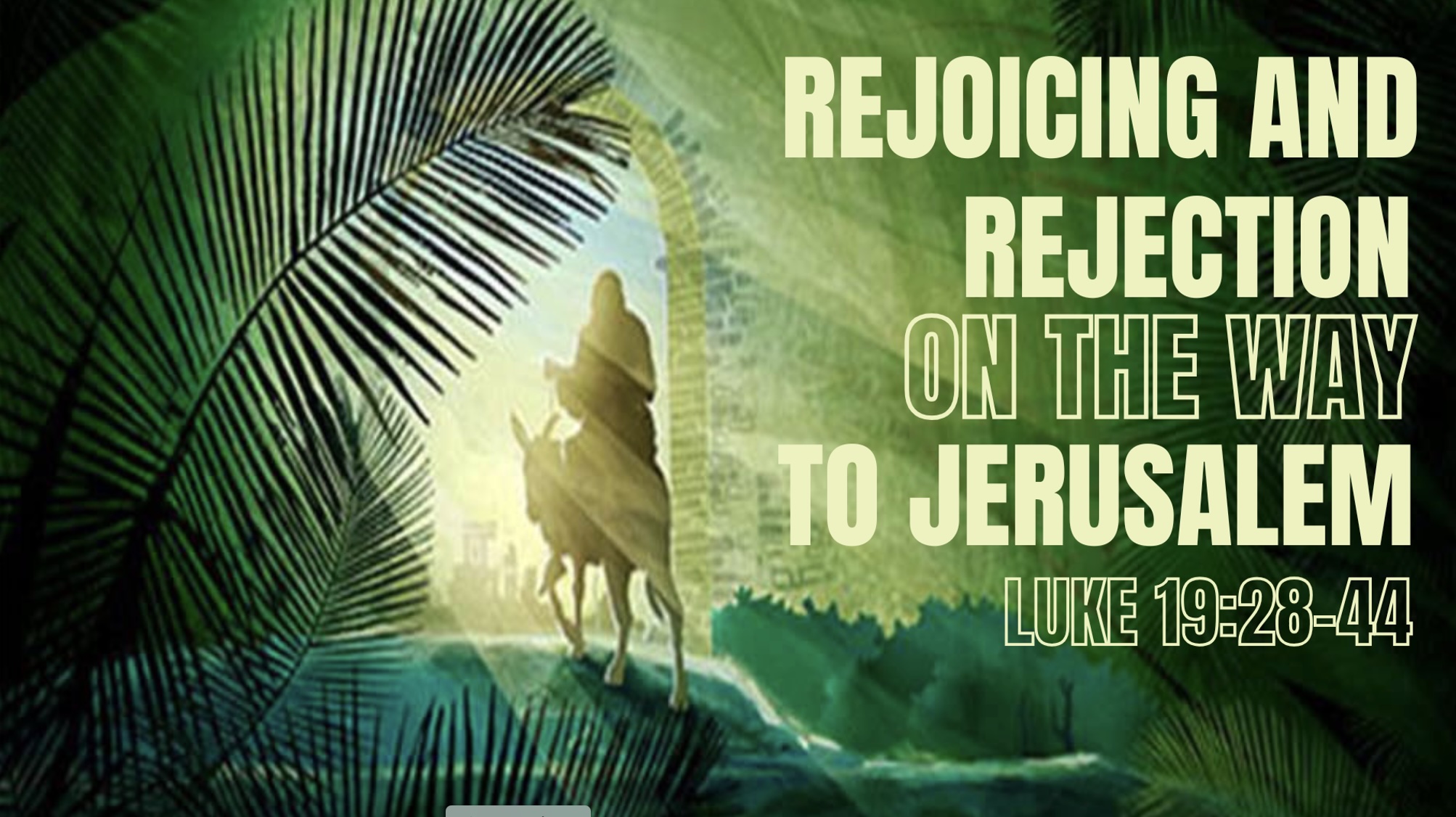 Rejoicing and Rejection on the Way to Jerusalem